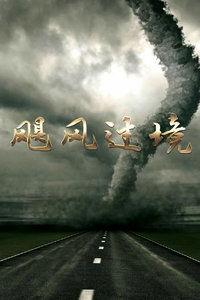 她像飓风过境,一场颠覆性的变革之旅