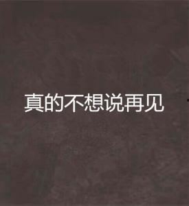 分手不想说再见,情感旅程的温柔告别