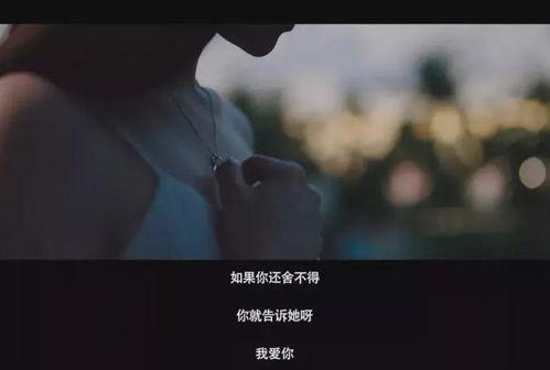 分手不想说再见,情感旅程的温柔告别