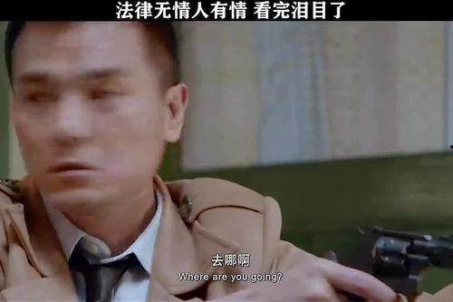 法律无情,剖析法律制裁的公正与威慑力