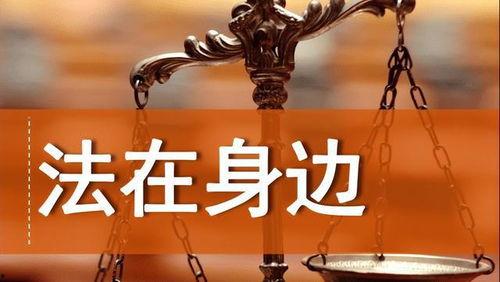 法律无情,剖析法律制裁的公正与威慑力