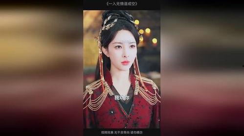 一入无情道成空,探寻人生无常的哲理之旅