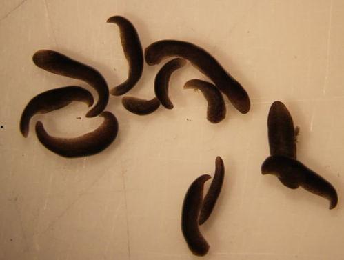 头或尾?,从尾部洞察趋势