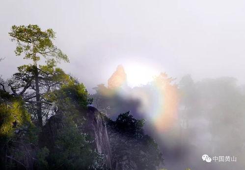 我们的爱相隔云海